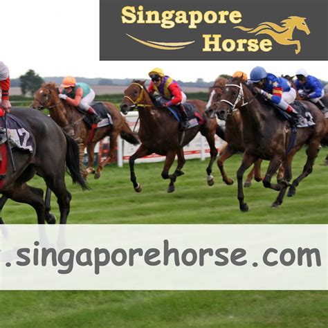 singapore horse racing results